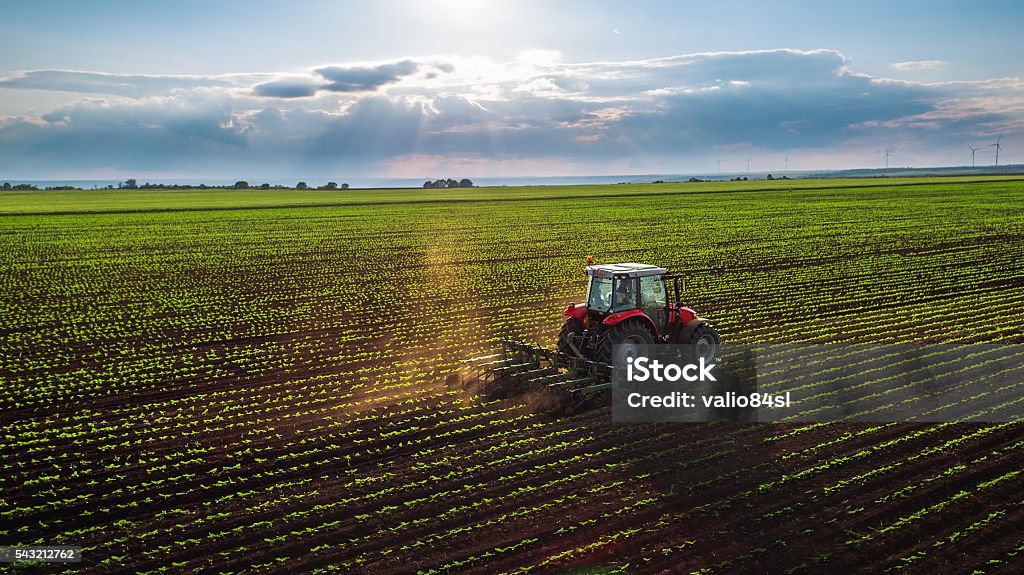 Traktor Anbau Feld im Frühjahr - Lizenzfrei Landwirtschaft Stock-Foto