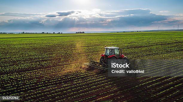 Tractor Cultivating Field At Spring Stock Photo - Download Image Now - Agriculture, Tractor, Agricultural Field