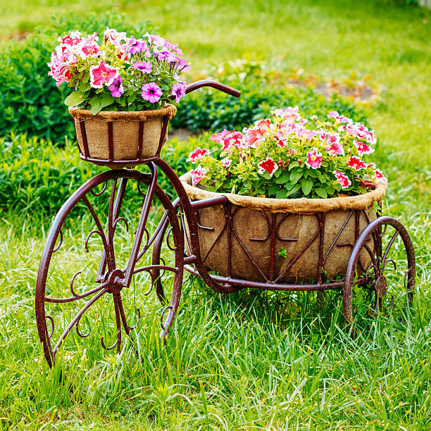 Decorative Vintage Model Old Bicycle Equipped Basket In Flowers Garden