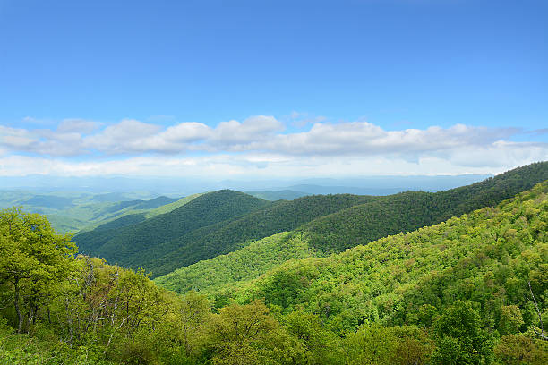 istock Beautiful summer mountain landscape. 543213698