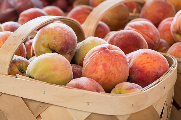 istock Peaches in Baskets At Farmers Market 543215218