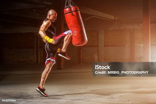 Mma Practice Stock Photo - Download Image Now - Boxing - Sport, Men, Extreme Sports