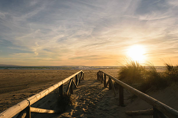 istock Path on the sand going to the ocean, Tarifa, Spain 543219510