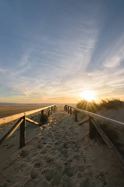 istock Path on the sand going to the ocean, Tarifa, Spain 543219734