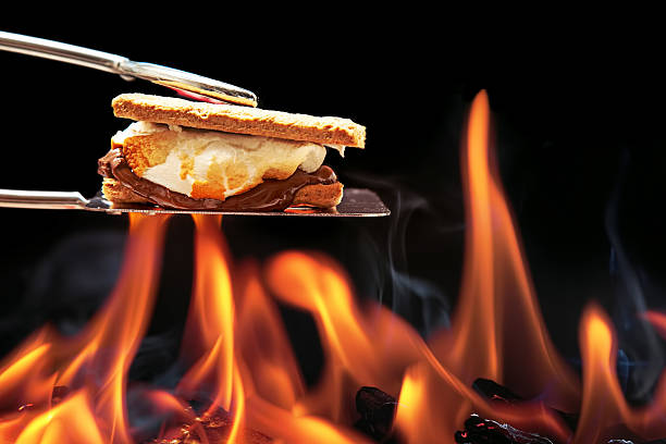 Smore Cooking Over Campfire Smore cooking over fire with melting marshmallow and chocolate oozing out of graham crackers. smore photos stock pictures, royalty-free photos & images