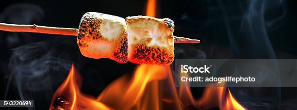 Roasting Marshmallows Over Campfire Horizontal Banner Stock Photo - Download Image Now