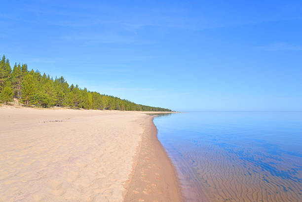 istock Beach on Ladoga lake at morning. 543221312