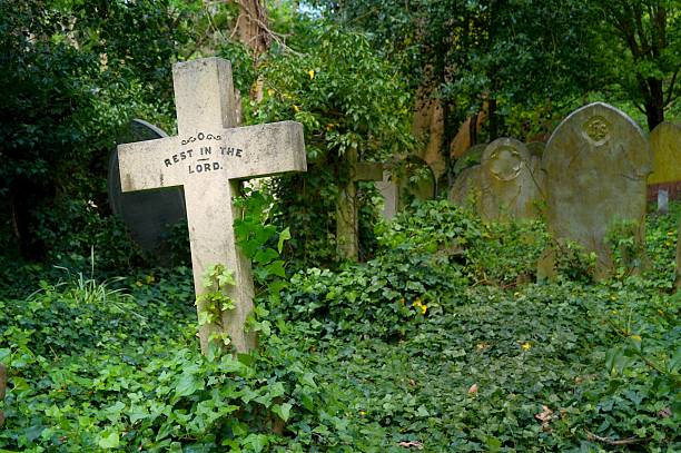 istock Stone cross in an overgrown neglected graveyard 543221574
