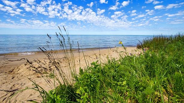 화창한 여름 (day at the beach - travel destinations lake michigan freshwater standing water 뉴스 사진 이미지