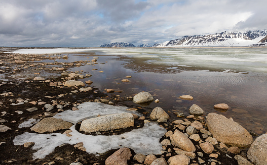 Spring thaw in shallow pool at Smeerenburg whaling site, Amsterdamoya, Svalbard, Norway, Canon EOS 5Ds, 24 mm.