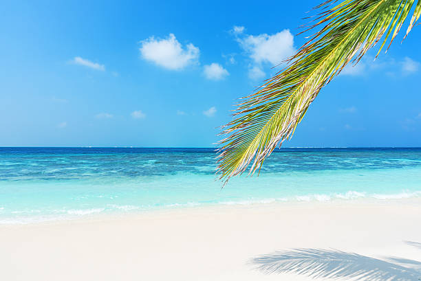 istock Paradise beach and tropical seascape 543320346