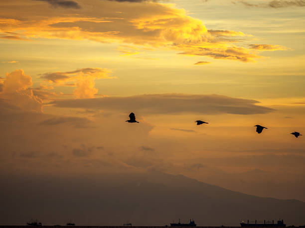 istock sunset in manila bay, Philippines 543321280