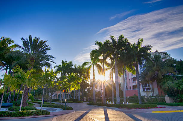 istock miami florida beach scenes on a sunny day 543321318