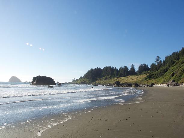 istock Sunny Day on the Beach in California 543321888
