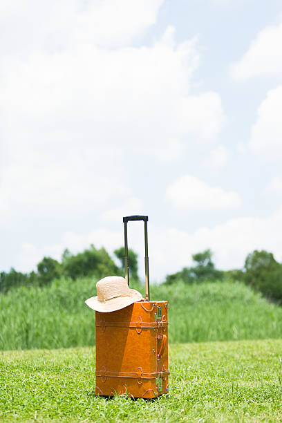 istock Fresh green and travel bag 543324670