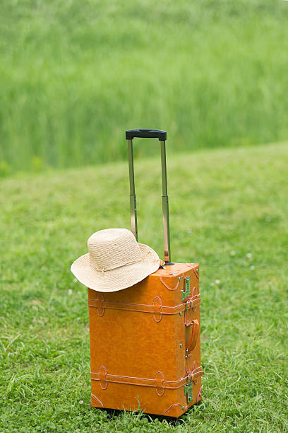 istock Fresh green and travel bag 543324688