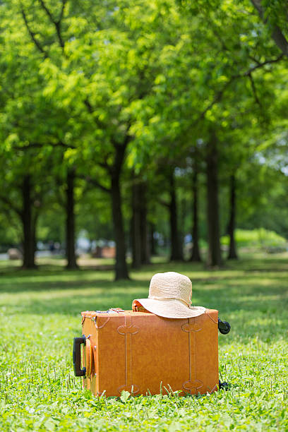 istock Fresh green and travel bag 543324696