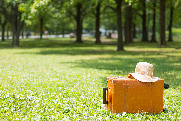istock Fresh green and travel bag 543324992