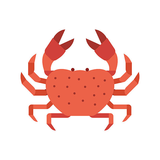 홍게 바다 생물 일러스트레이션 - computer icon symbol sea life prepared crab stock illustrations