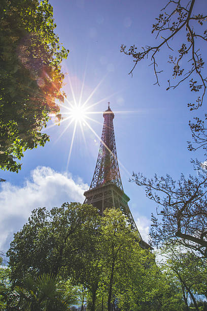 istock Beautiful Summer day in Paris 543327560