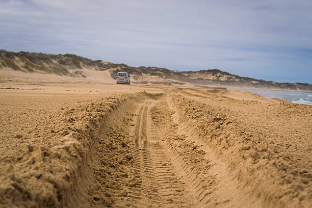 istock Sandy offroad track in conservational park in South Australia 543327650