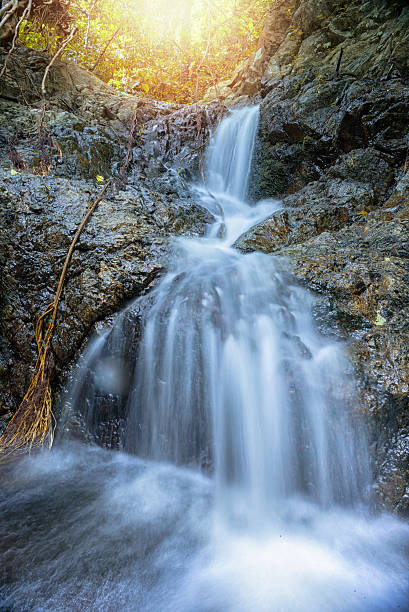 schöner wasserfall an einem berghang im tiefen wald. - natural phenomenon waterfall rock tranquil scene stock-fotos und bilder