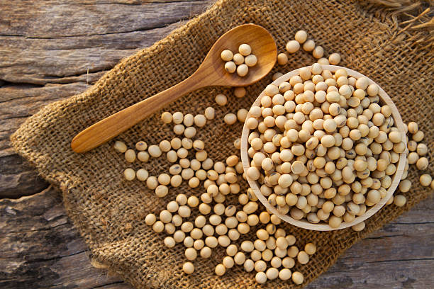 istock Grain soybean with wooden bowl and spoon 543333422