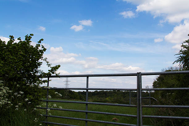 istock Old metal gate in a hedge with blue sky 543333778