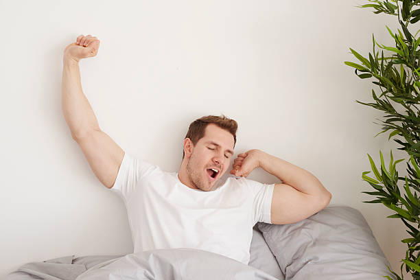 istock Rise and shine in the morning 543333980
