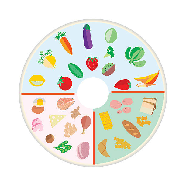 portion control plate<br>portion plate<br>portion food plate<br>food portion plates<br>adult portion plate<br>portion bowls<br>portion size plates<br>portion plates for weight loss<br>plate portion for weight loss<br>portion control plate for <a href=
