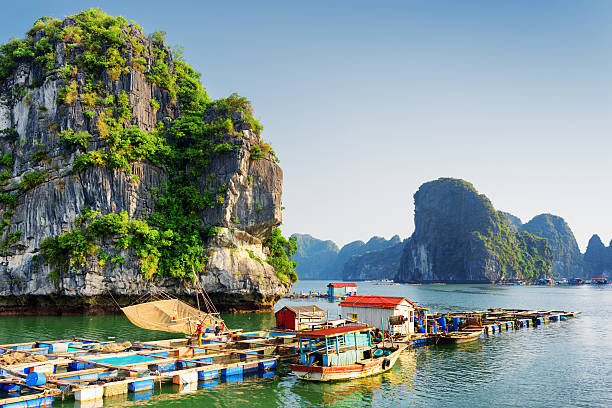 istock Scenic view of the Ha Long Bay 543335388