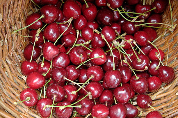 istock Ripe cherries in a wicker basket 543335814