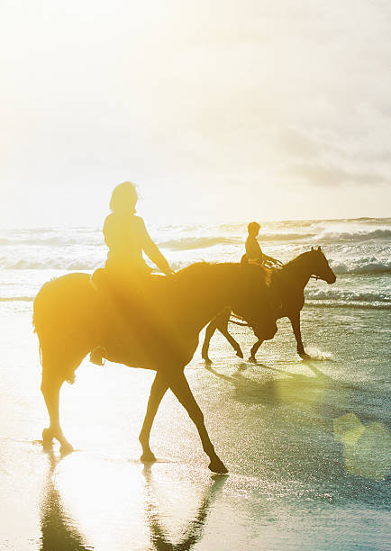 istock Two women riders walking horses through surf, silhouetted by sun 543336294