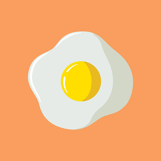 달걀부침  - eggs fried egg egg yolk isolated stock illustrations