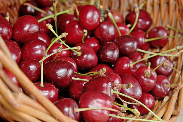 istock Ripe cherries in a wicker basket 543336886