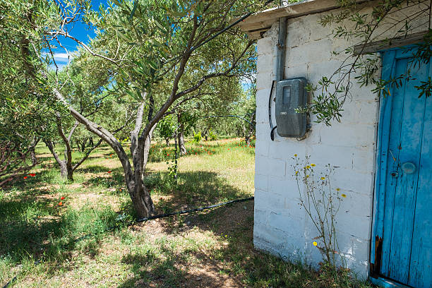 Old brick built hut in an olive grove.