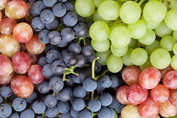 istock Bunch of colorful grapes 543342692