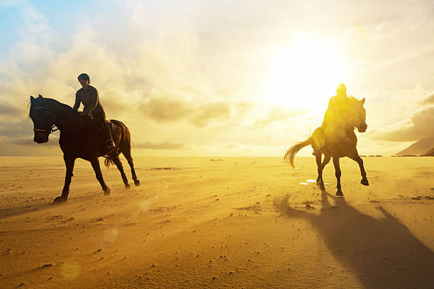 istock Riders galloping towards camera silhouetted by golden winter sun 543345658