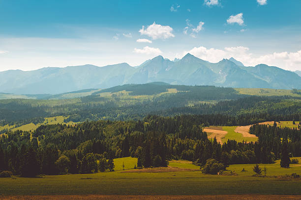 istock Panorama of Tatra Mountains in summer time 543345776
