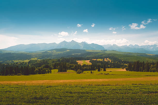 istock Panorama of Tatra Mountains in summer time 543345892