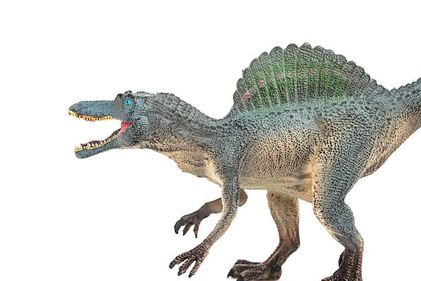 istock grey grey spinosaurus toy on a white background 543348052