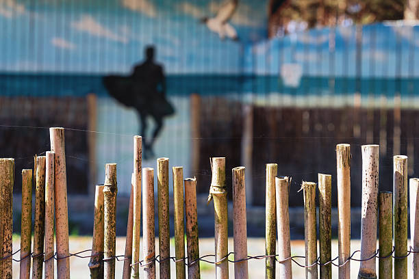 Bamboo Fence in park for divers