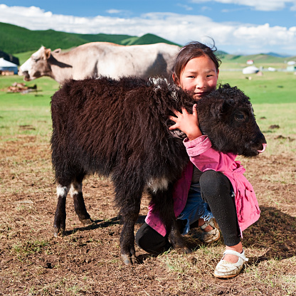 Mongolian young girl playing with yak, Central Mongolia.http://bhphoto.pl/IS/mongolia_380.jpg