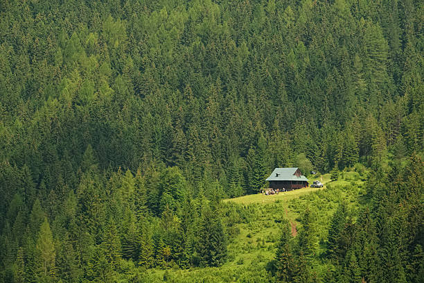 istock Mountain house tourist peoples 543349744