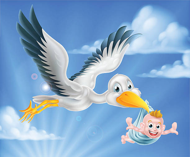 Stork flying holding baby Cartoon stork bird animal character flying through the sky holding a newborn baby. Classic myth of stork bird delivering a new born baby funny pregnancy announcements stock illustrations