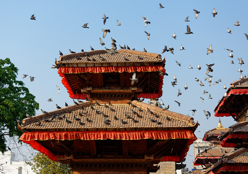 Pigeons flying over a pagoda at Durbar Square in Kathmandu, Nepal