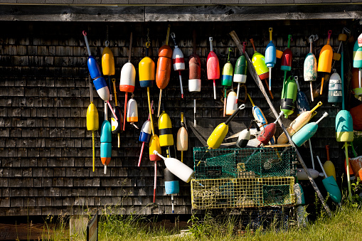 Lobster traps and buoys at boathouse