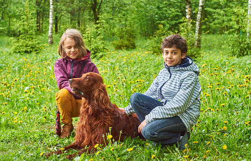   Eleven-year-old boy and girl with a dog on the walk in the park 