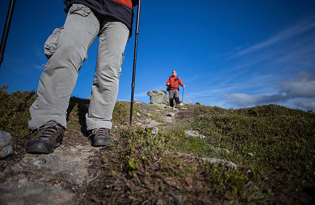 istock Summer hiking in the mountains. 543360584