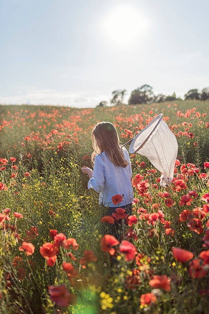 istock Young Girl Walking Through a Poppy Field 543362566